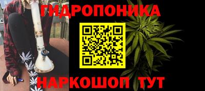 шишки Кинель
